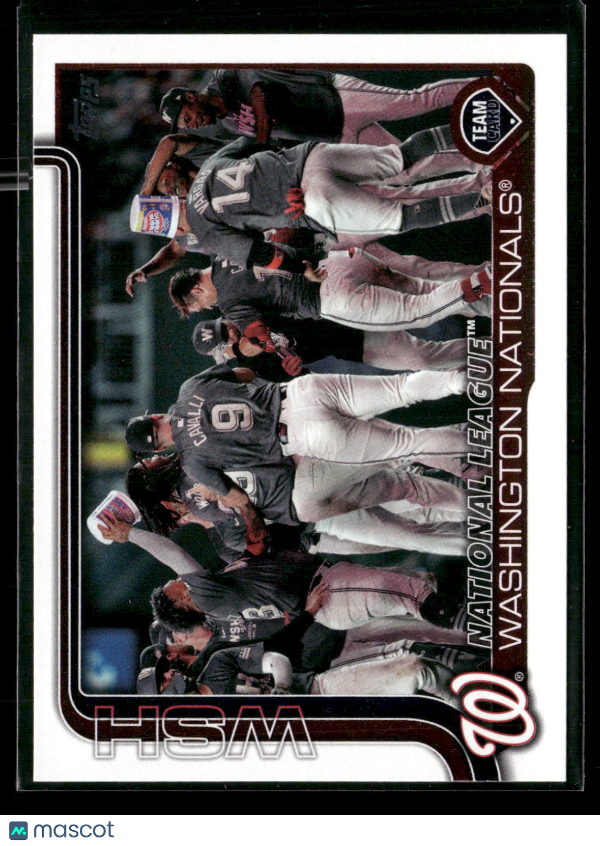 2025 Topps Series 2 Baseball Washington Nationals #507